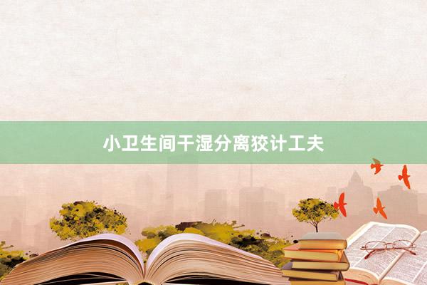 小卫生间干湿分离狡计工夫