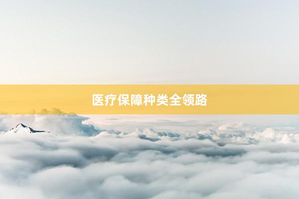 医疗保障种类全领路